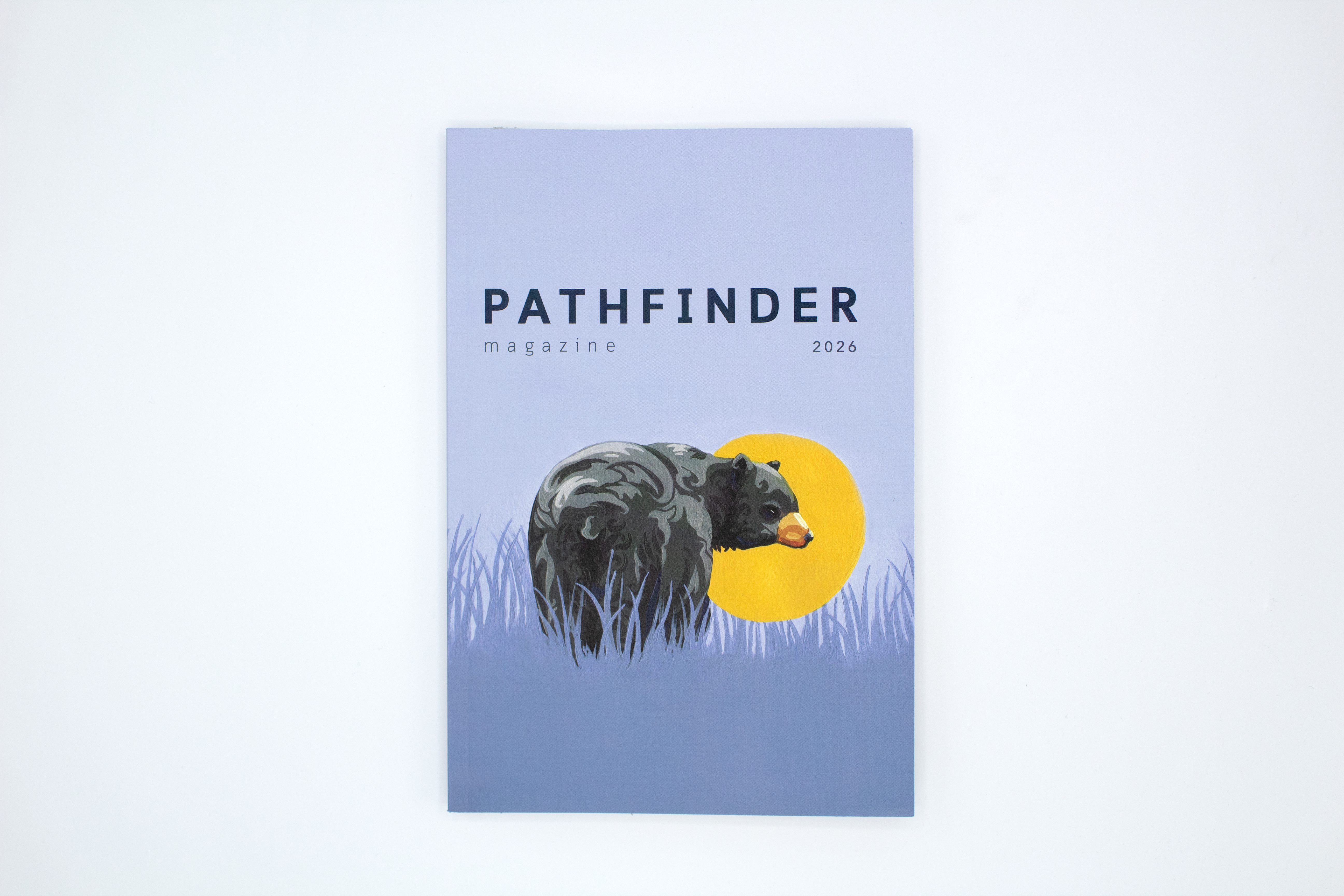 Pathfinder 2026 project